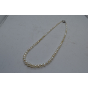 淡水パール　ネックレス　